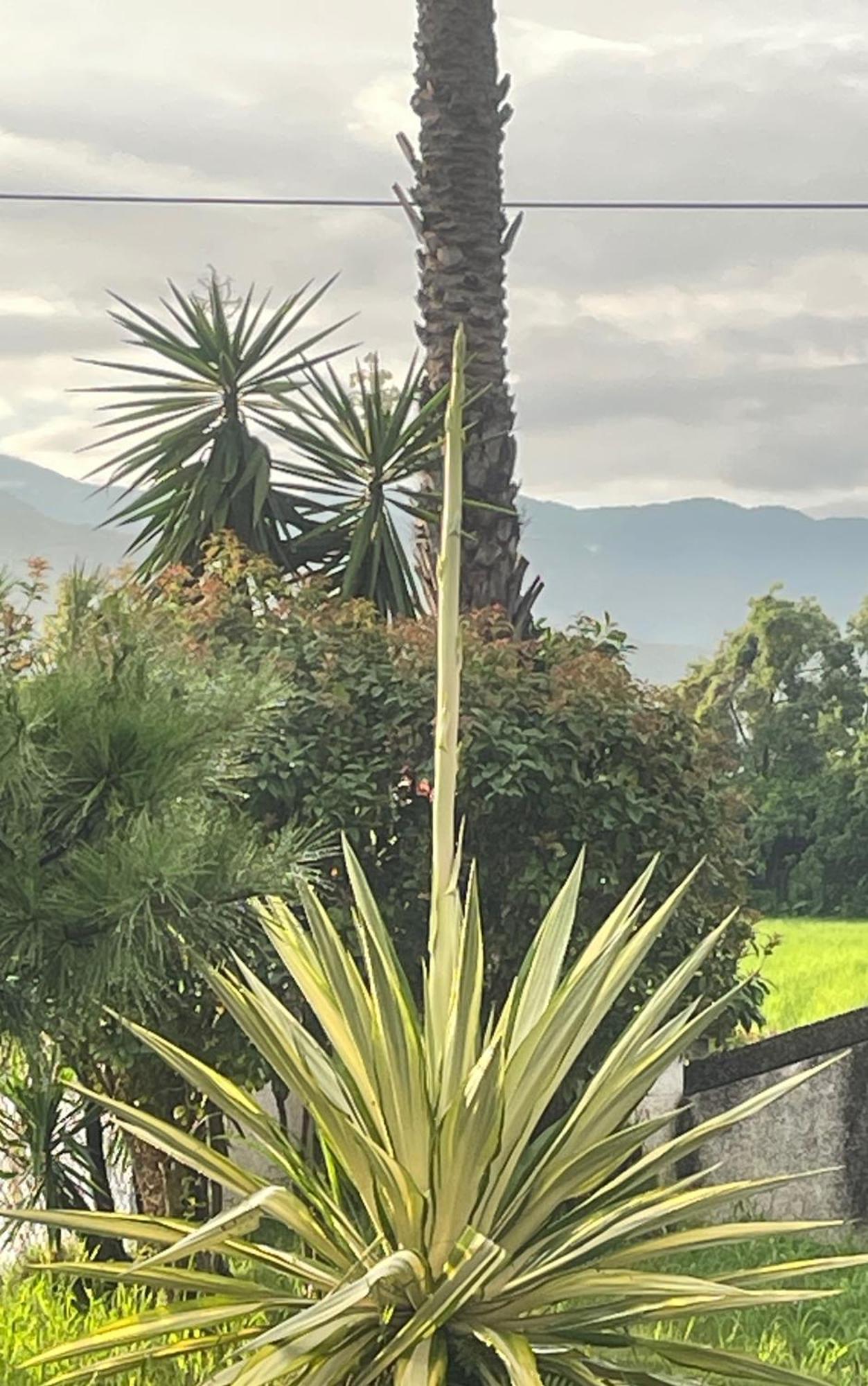Mandy'S House B&B Shangwu Bagian luar foto