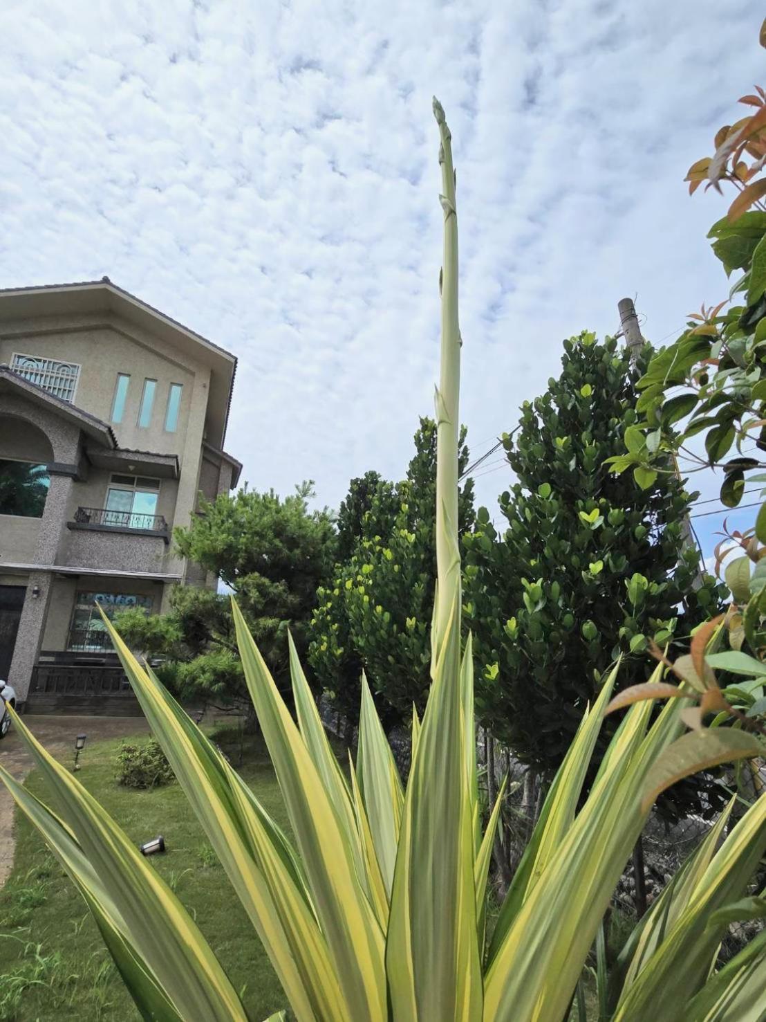 Mandy'S House B&B Shangwu Bagian luar foto
